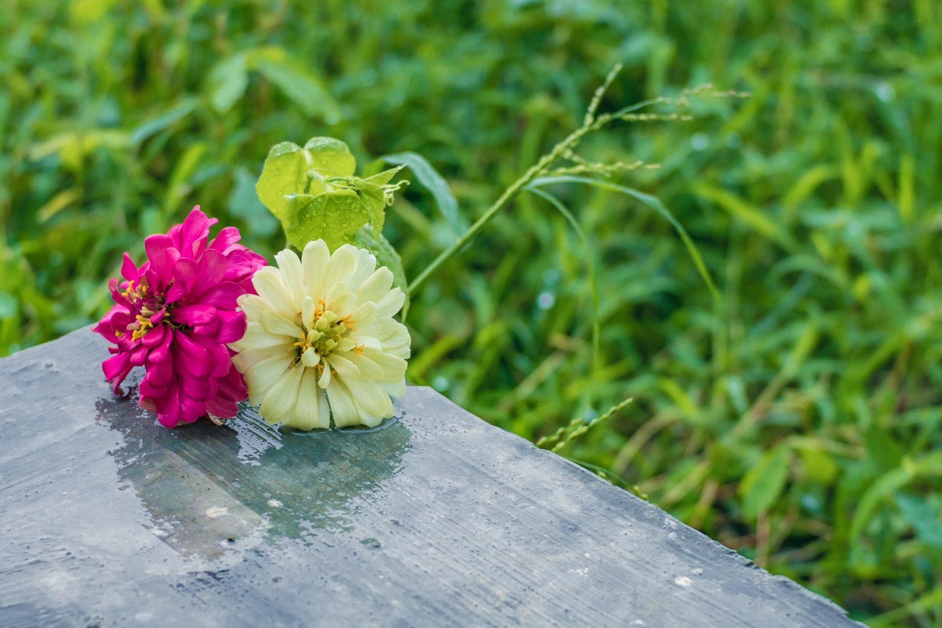 雨の日はメリットがいっぱい 雨の日の婚活を楽しもう 東海の婚活メディア Fromeeee 雨の日はメリットがいっぱい 雨の日の婚活を楽しもう 東海の婚活メディア Fromeeee
